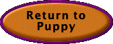  Return to Puppy Page One