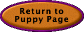  Return to Puppy Page One