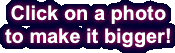 Click on a photo to make