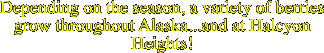Depending on the season, a