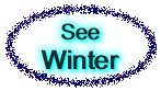  See Winter