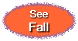  See Fall