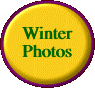   Winter Photos
