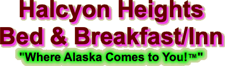 Halcyon Heights Bed & Breakfast/Inn "Where Alaska