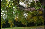 IMG27852
