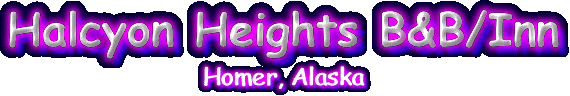 Halcyon Heights B&B/Inn