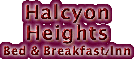 Halcyon Heights Bed & Breakfast/Inn "Where Alaska