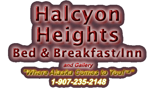 Halcyon Heights Bed & Breakfast/Inn and Gallery "Where