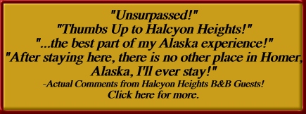  "Unsurpassed!" "Thumbs Up to Halcyon Heights!" "...the
