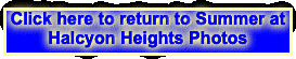 Click here to return to