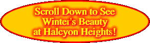  Scroll Down to See Winter's