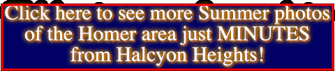 Click here to see more