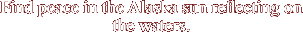 Find peace in the Alaska