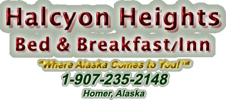 Halcyon Heights Bed & Breakfast/Inn "Where Alaska