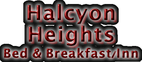 Halcyon Heights Bed & Breakfast/Inn "Where Alaska