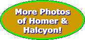 More Photos of Homer &