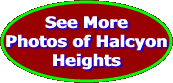  See More Photos of Halcyon